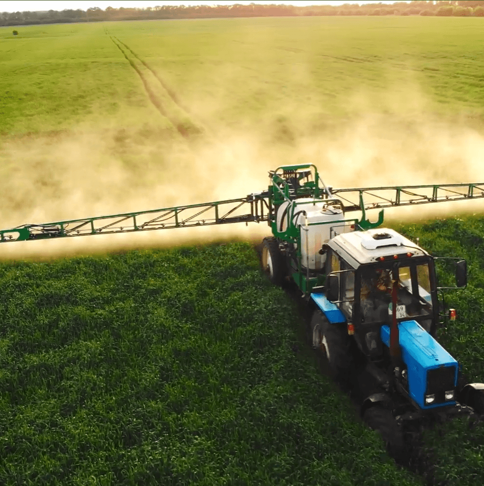 Farmer inspecting greenhouse plants